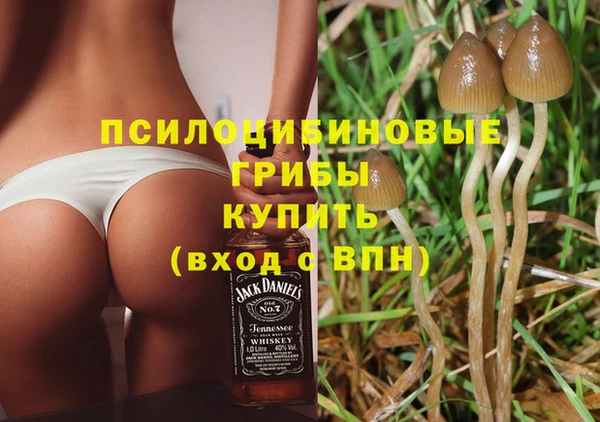 метадон Новозыбков
