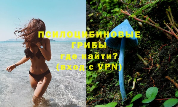 метадон Новозыбков
