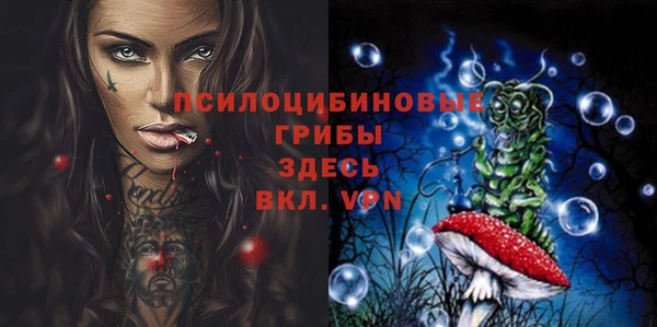 дурь Няндома