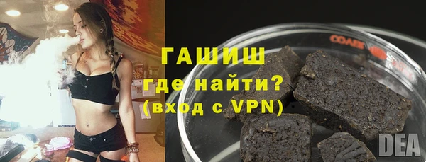 дурь Няндома
