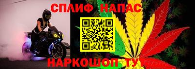 гашик Абинск